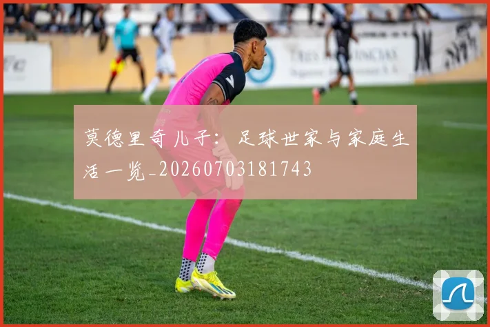 莫德里奇儿子:足球世家与家庭生活一览_20260703181743