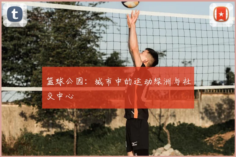 篮球公园：城市中的运动绿洲与社交中心