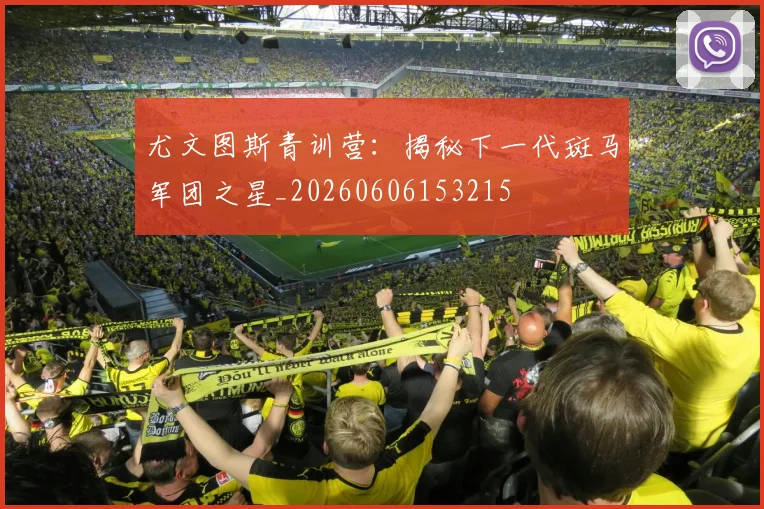 尤文图斯青训营:揭秘下一代斑马军团之星_20260606153215