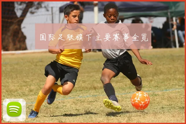 国际足联旗下主要赛事全览